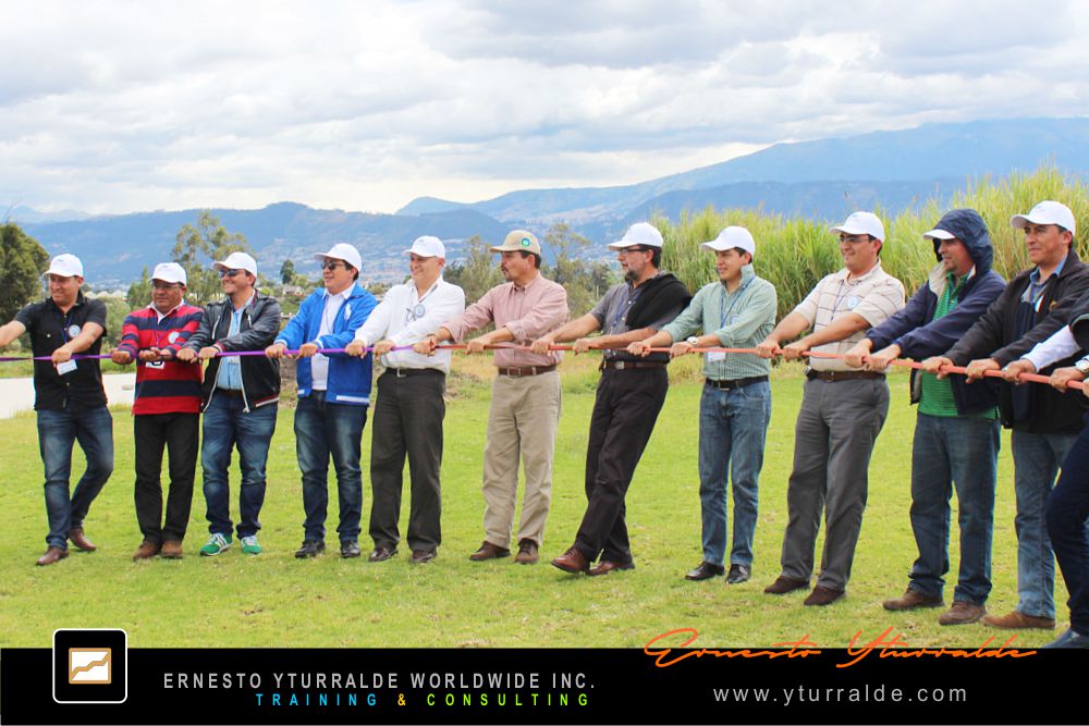 Taller de Cuerdas en Medellín con enfoque en desarrollo organizacional y cohesión de equipos